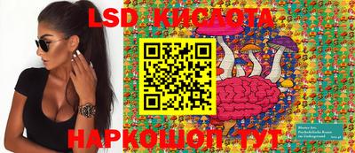 гидропоника Краснодар