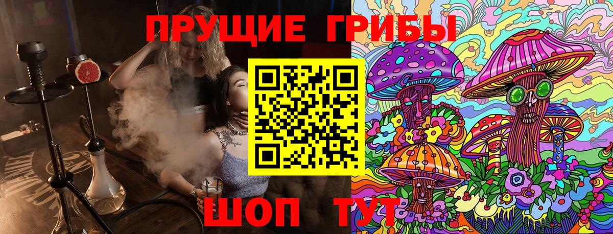Галлюциногенные грибы Cubensis Якутск